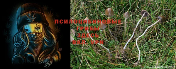 мяу мяу мука Новодвинск