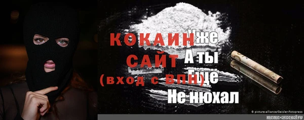 мяу мяу мука Новодвинск