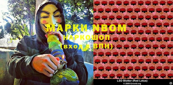 мдма Новозыбков