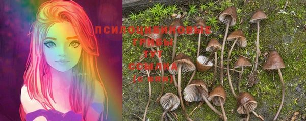 мдма Новозыбков