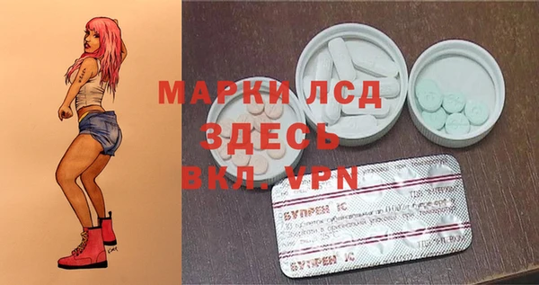 дурь Няндома