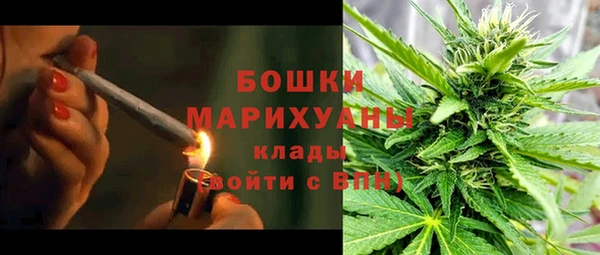 молекула духа Нягань